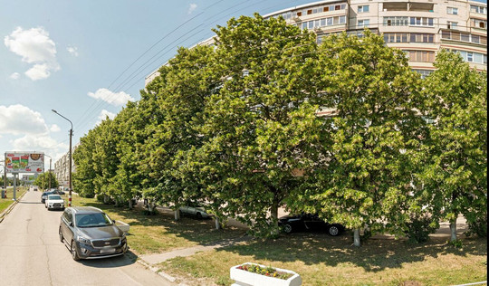 Стоматологическая поликлиника №6 на Кирова, фото №1