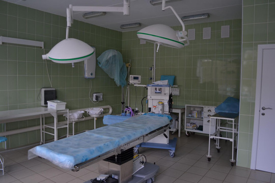 Перинатальный центр на Московском, фото №1