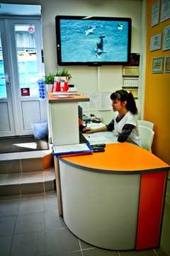 Reaclinic на Энгельса, фото №1