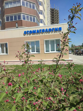 Санлайф на Космонавта Беляева, фото №1