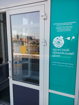 Областной перинатальный центр (роддом областной больницы №2) на Невельской, фото №1