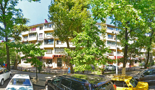 Ледум на Конституции СССР, фото №1