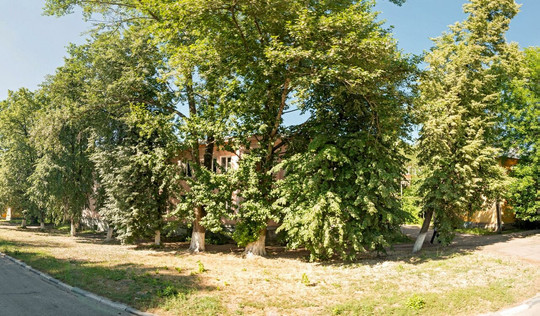 Леди Клиник на Державина, фото №1