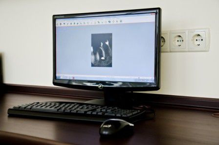 Миг на Троллейбусной, фото №1