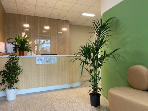 Аристомед, фото №1