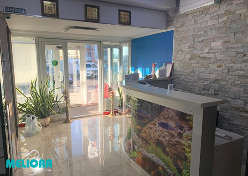 Meliora Dent в Лубянском, фото №1