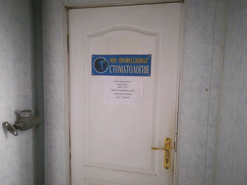 Профессионал на Звездной, фото №1