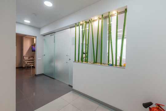 Мегадент на Мате Залки, фото №1