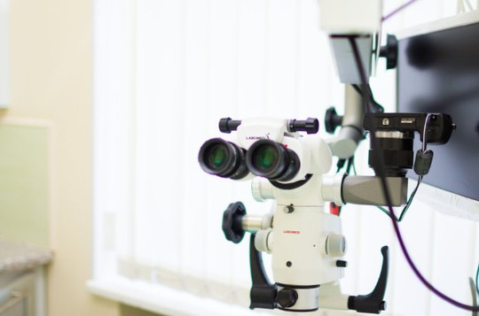 Вероника на Васильевском острове, фото №1