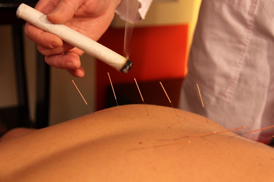 Сад Долголетия в с Петрово-Дальнее, фото №1