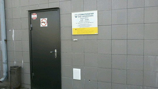 Аполлония на 30-летия Победы, фото №1