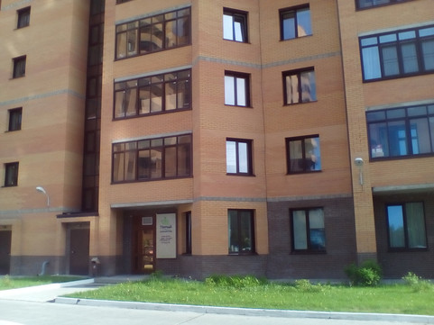 Пятый элемент на Академика Коптюга, фото №1