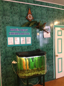 Медидент на Амурской, фото №1