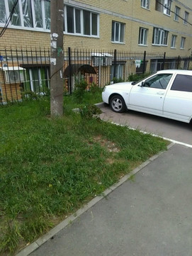 Лайм на 45 стрелковой дивизии, фото №1