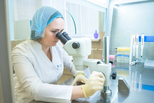 Центр ЭКО на Шолмова, фото №1