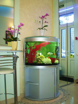 Клиника Новый Век на Просвещения, фото №1