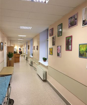 Городская больница № 40, фото №1