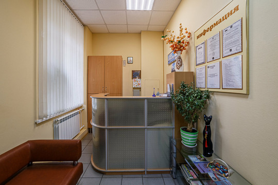 Ника-Дент на Чкалова, фото №1