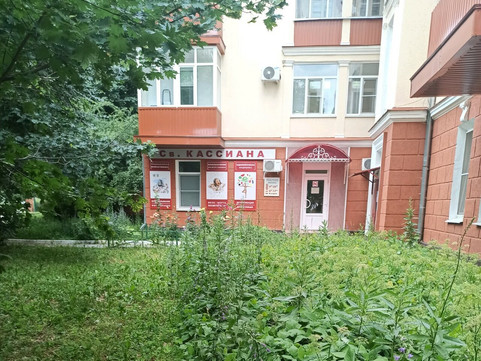 Св. Кассиана на Карла Маркса, фото №1