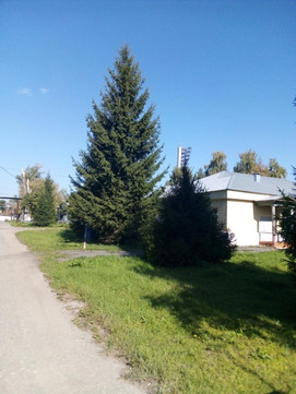Городская инфекционная больница № 9, фото №1