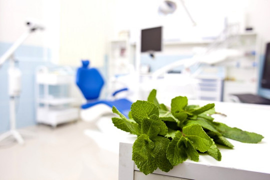 Стоматология Doctor Hollywood, фото №1