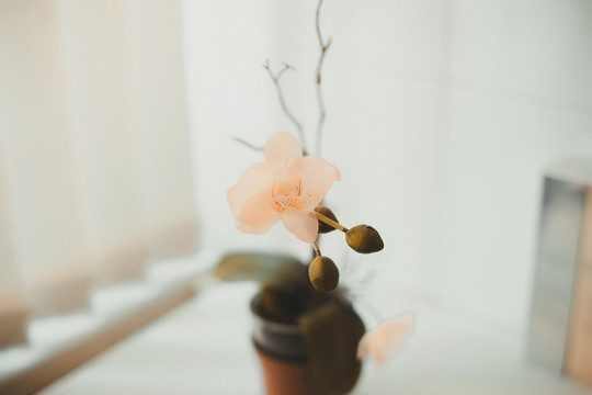 Клиника Женева, фото №1