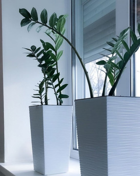 Клиника М53, фото №1