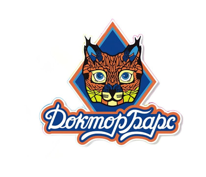 Доктор Барс на Октябрьском, фото №1