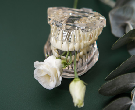 Frangipani dental clinic, фото №1