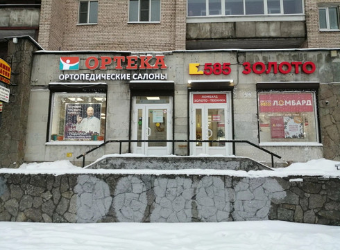Ортека на Большевиков, фото №1