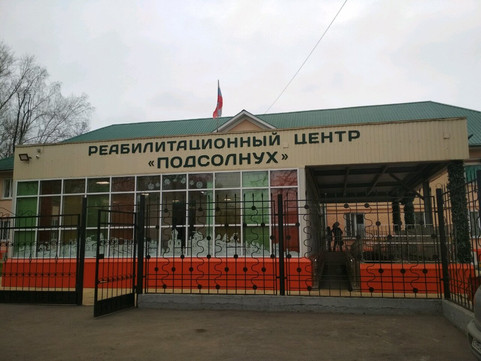 Подсолнух на Герасимова, фото №1