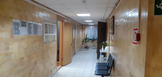 Эдельвейс на Юлиуса Фучика, фото №1