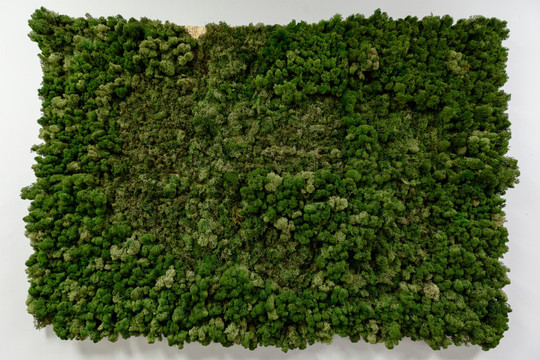 Студия Elegante (Элегант) на Московском, фото №1