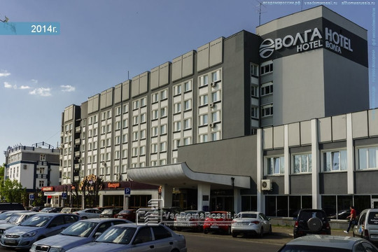 Альстромерия на Желябова, фото №1