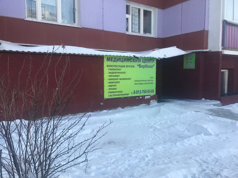 Вербена на Березовой, фото №1
