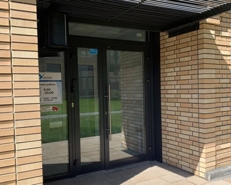 Ласточка на Красном Проспекте, фото №1