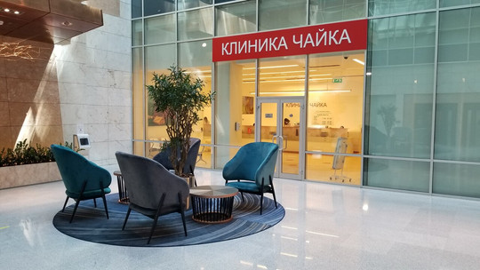 Чайка в Метрополисе, фото №1