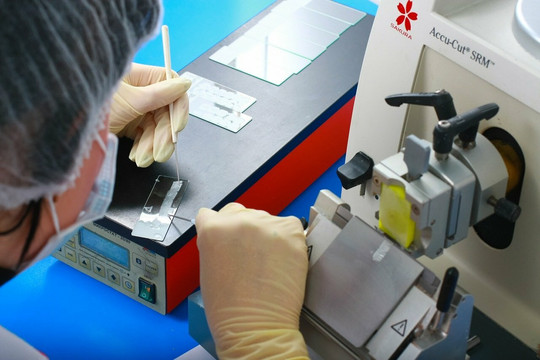 CL на Пластунской, фото №1