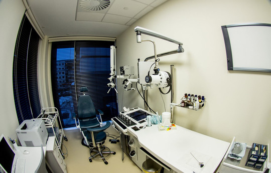 Чайка на м.Университет, фото №1