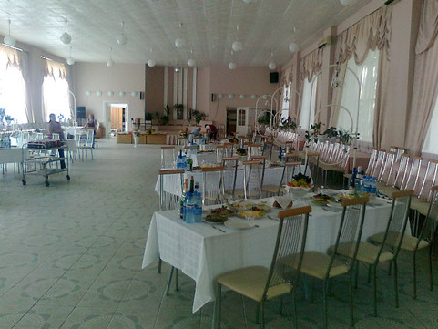 Чертовицкий детский санаторий в пер Спортивный, фото №1