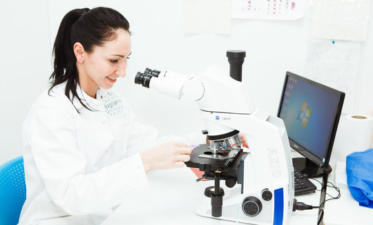 Эксплана на Павлова, фото №1