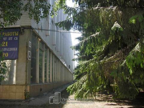 Твоя улыбка на Мичурина, фото №1