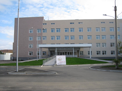 Перинатальный центр на Адмирала флота Лобова, фото №1