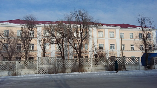 Троицкая ЦРБ на Крупской, фото №1