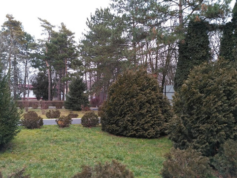 Туберкулезный диспансер на Ефремова, фото №1