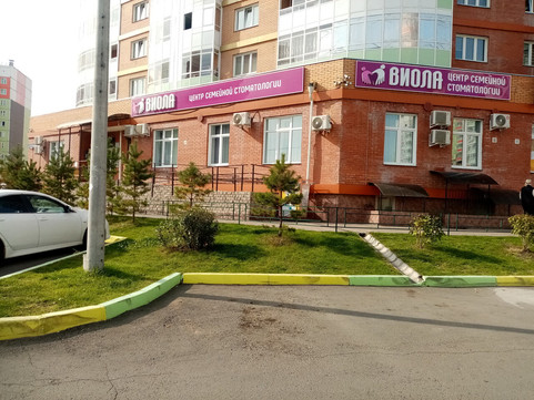 Виола на Дмитрия Мартынова, фото №1