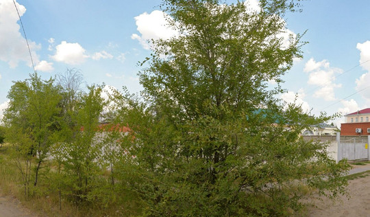 Детская поликлиника на Крупской, фото №1