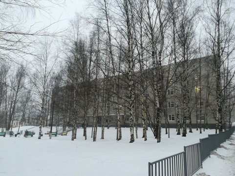 Областной роддом на Державина, фото №1