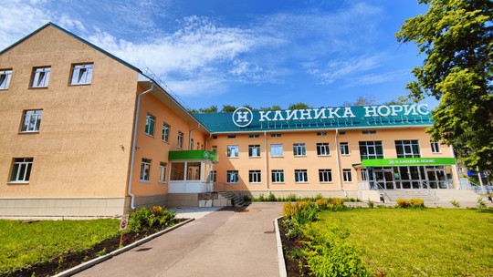 Норис на Элеваторной, фото №1