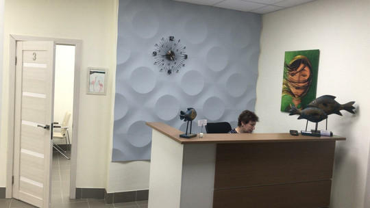 ЭниДент на Анатолия Мехренцева, фото №1